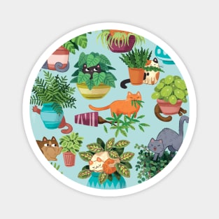 Cats and planters Magnet